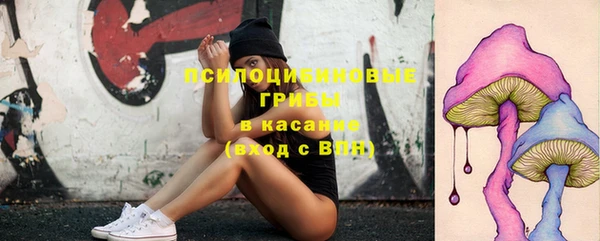 сатива Армянск
