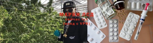 сатива Армянск